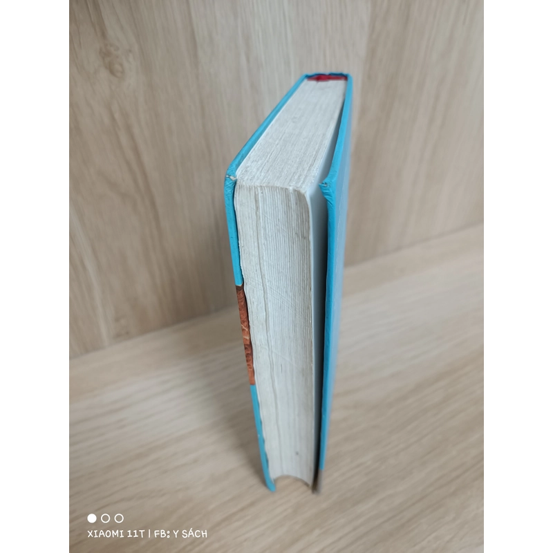 Trạch cát thần bí 463134