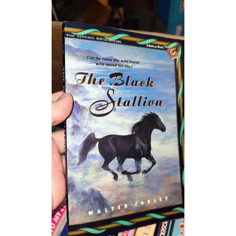 THE BLACK STALLION 493046