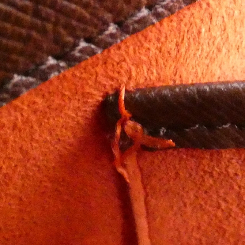 Túi xách vai Louis Vuitton Damier Musette Tango N51255 609797