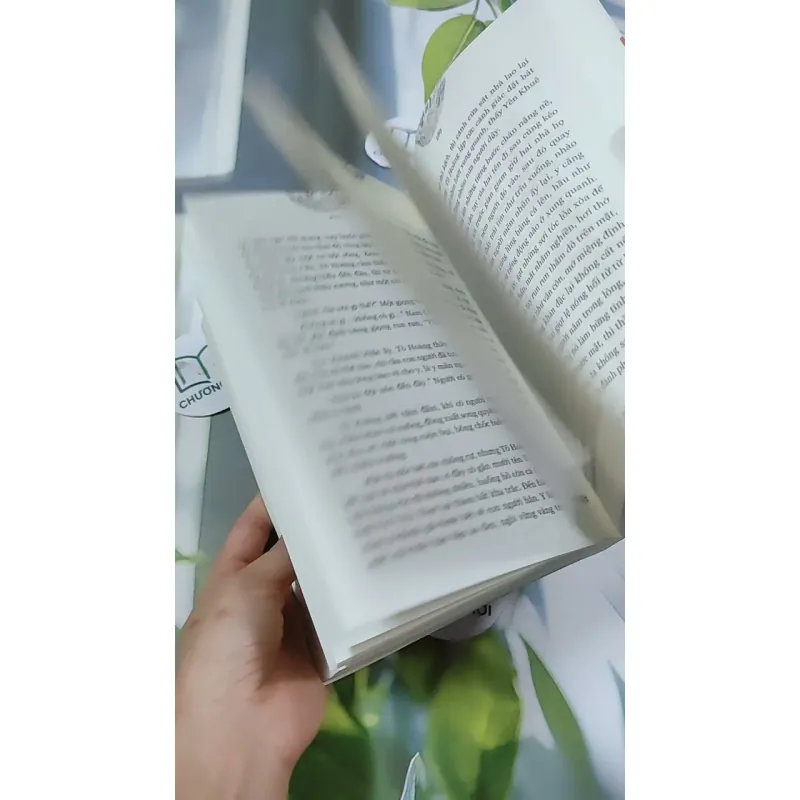 Nam Cực Tinh - Phong Duy 744707