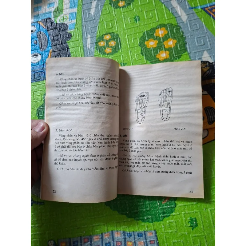 Day, Bấm Huyệt Bàn Chân Chữa Bệnh 1027666