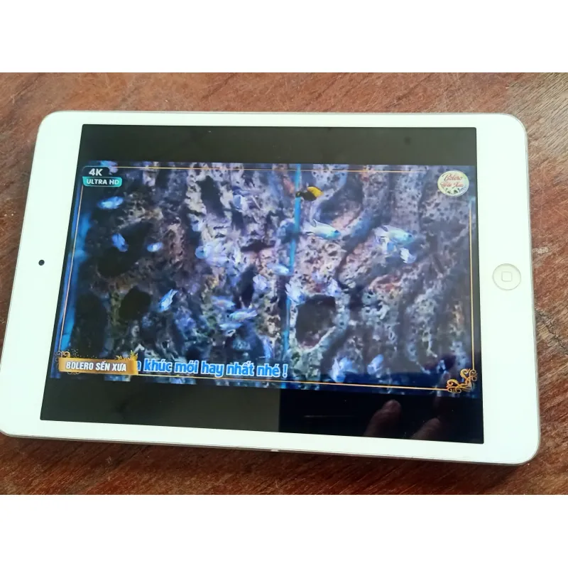 Ipad mini 1,đọc hết tin nhé 969750