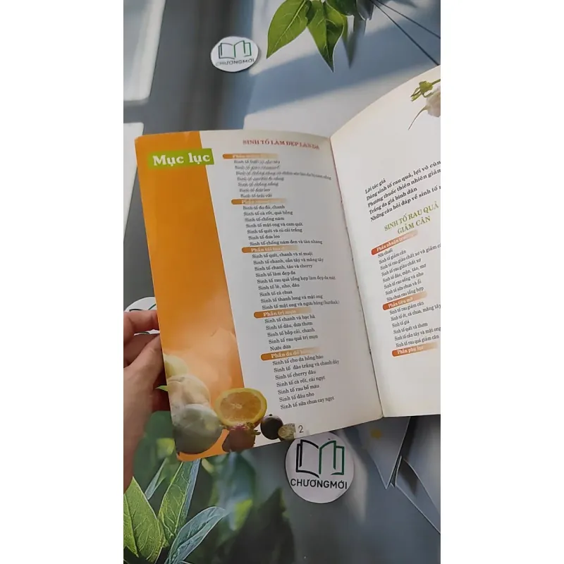Sinh tố trái cây, rau quả làm đẹp - Dược Lan 1018807