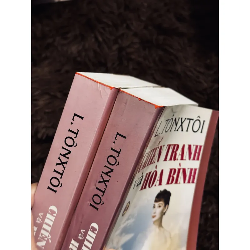 Chiến tranh và hoà bình (trọn bộ 2 tập) 1010522