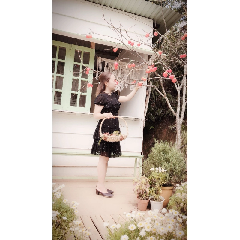 Đầm ngắn 90% 519534