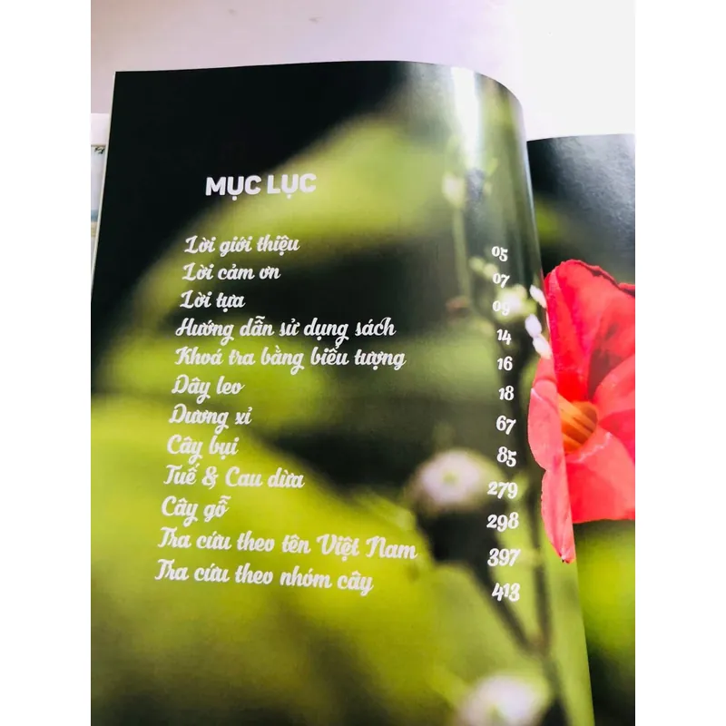 📚 500 LOÀI CÂY THƯỜNG DÙNG TRONG THIẾT KẾ CẢNH QUAN – Đinh Quang Diệp 601883