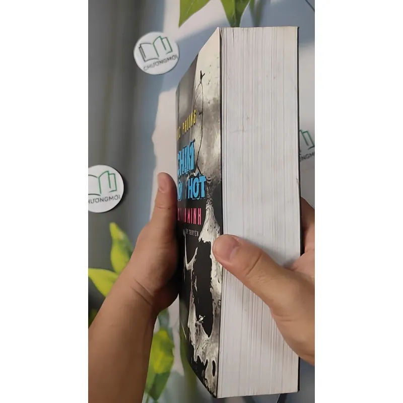 [MIỄN PHÍ BỌC SÁCH] Chim Không Hót Lúc Bình Minh - Trúc Phương 798295