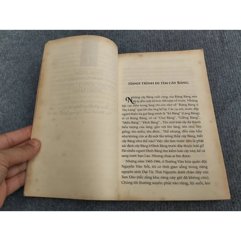 RỪNG BÁNG TRỞ VỀ QUÊ HƯƠNG NHÀ LÝ 993177