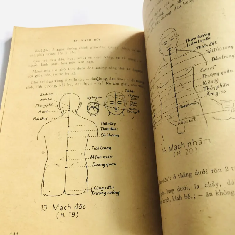 NGUYỄN ĐÌNH CHIỂU VỚI NGƯ TIỀU VẤN ĐÁP Y THUẬT 1983 796534