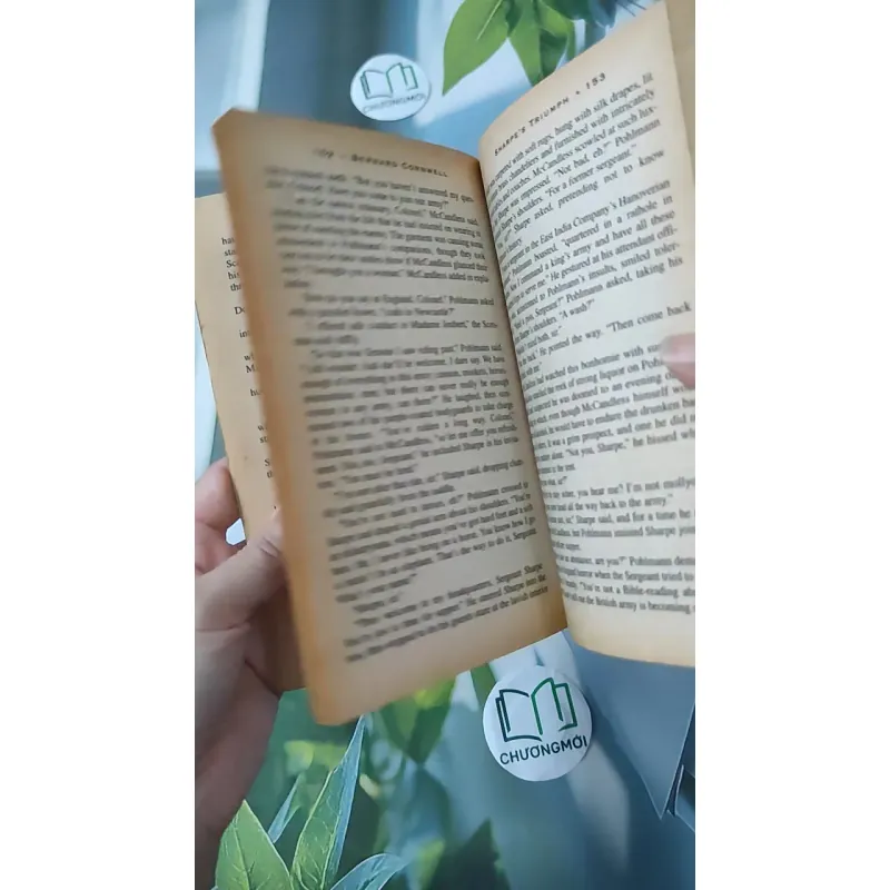 Sharpe's Triumph - Bernard Cornwell 1026748