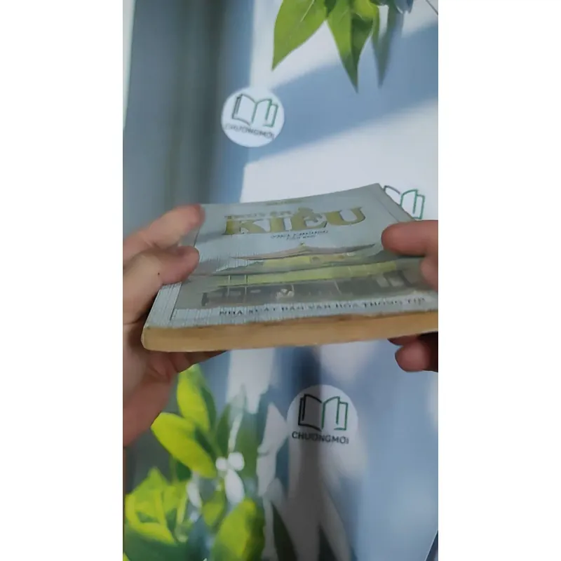 Truyện Kiều - Việt Chương chú giải - Nguyễn Du 798520