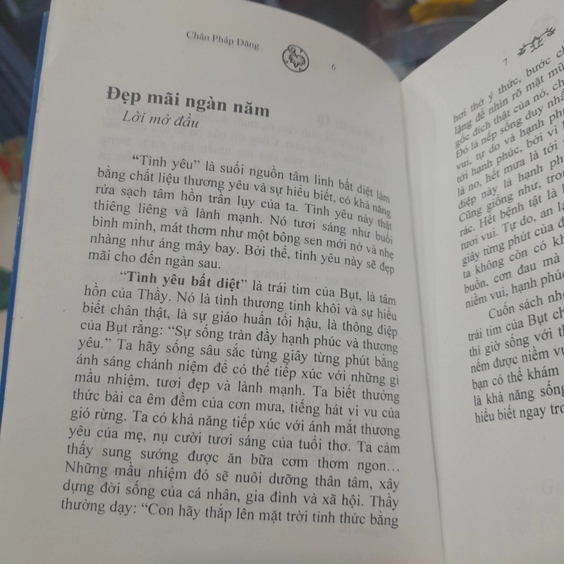 Chân Pháp Đăng - TÌNH YÊU BẤT DIỆT 382799