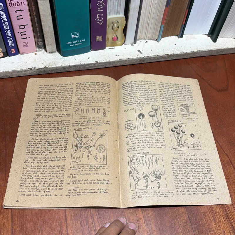 II Phụ Bản Khoa Học Phổ Thông: Kỹ Thuật Sản Xuất Các Loại Nước Chấm - 1981 960374