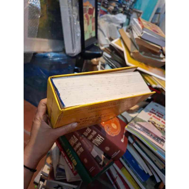 Việt sử cương mục tiết yếu 932130