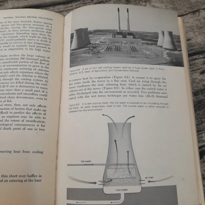 Sách ngoại văn Anh. ENVIRONMENT AND MAN. Dr Richard H. Wagner -State Colleg.  Oct 1970 733496