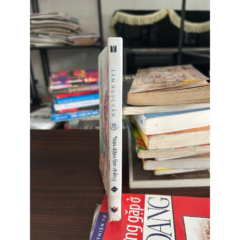 Vạn dặm tìm chồng 1- Lâm Ngọc Cầm 928819