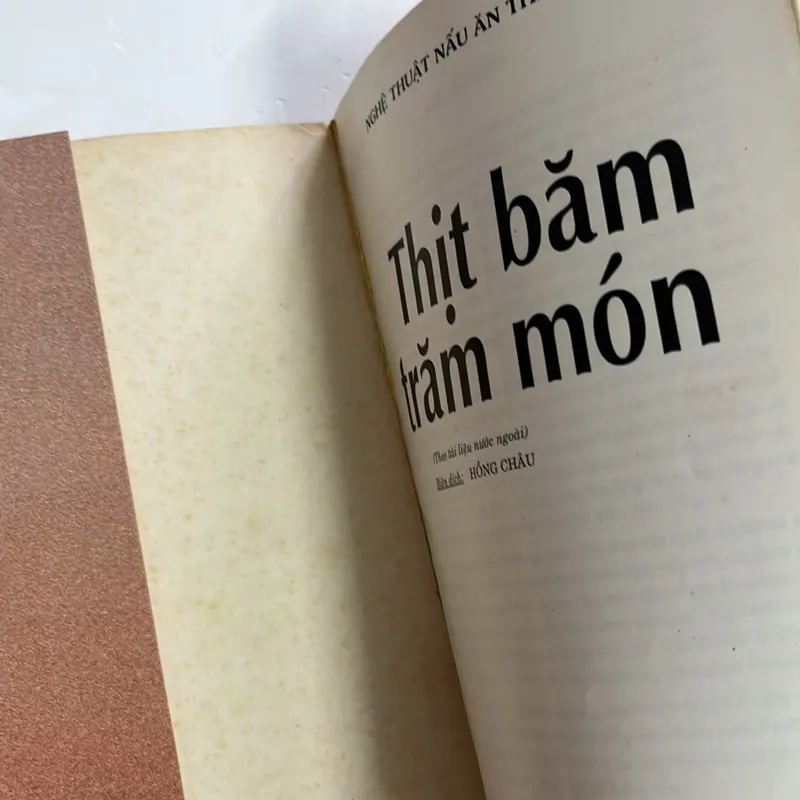 Bán sách cũ – Thịt bằm trăm món – Hồng Châu (biên dịch) 594813