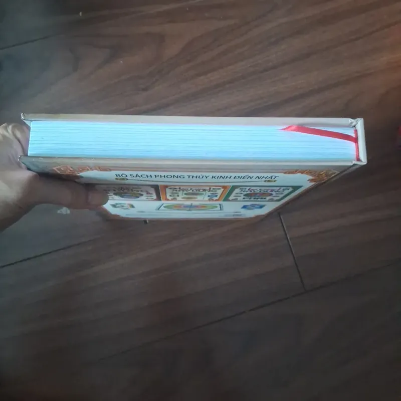 Phong thủy vương  737165