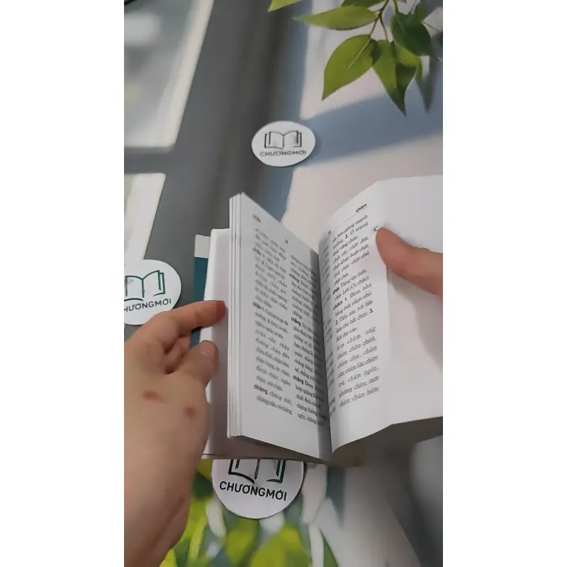 Từ Điển Chính Tả Tiếng Việt 727289