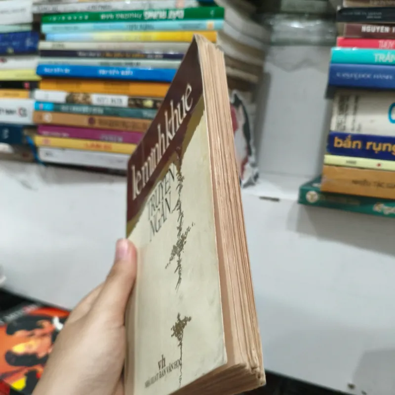 Truyện ngắn của nhà văn Lê Minh Khuê 🌱 692990