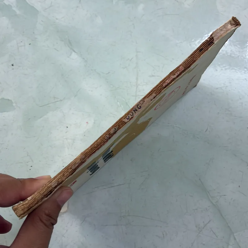 Vùng đất sôi động - Nguyễn Trần Thiết - 1985s 996949