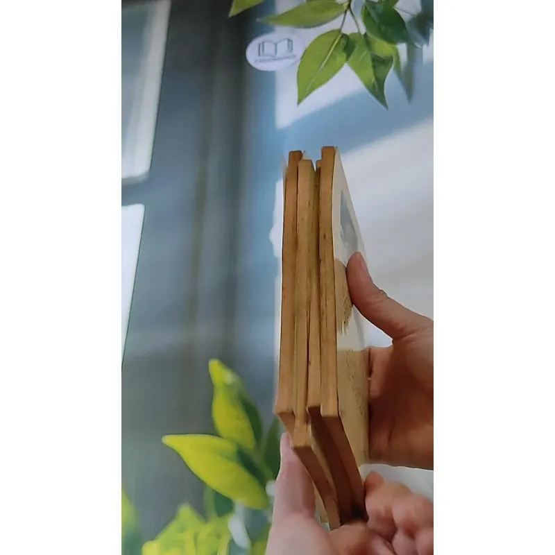 Trọn bộ Trại hoa vàng (4 tập) 607740