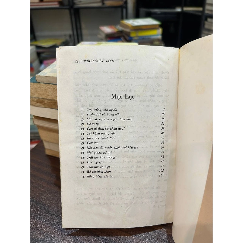 Mẹ - Biểu hiện của tình thương - Thích Nhất Hạnh 936708