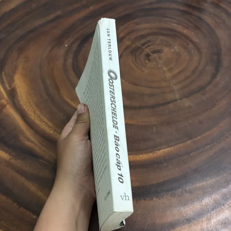 II Văn Học: Oosterschelde, Bão Cấp 10 - JAN TERLOUW - 2003 976260