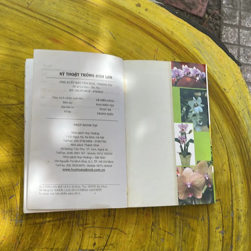 COMBO TRỒNG HOA CÂY CẢNH TRONG GIA ĐÌNH & KỸ THUẬT TRỒNG HOA LAN 929941