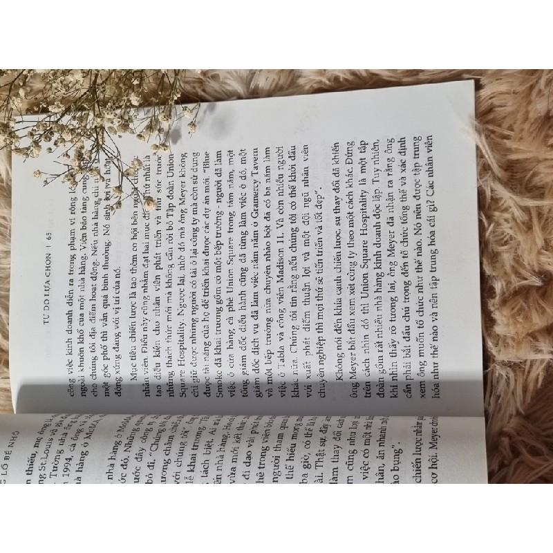 Sách Những người khổng lồ bé nhỏ cũ 1085