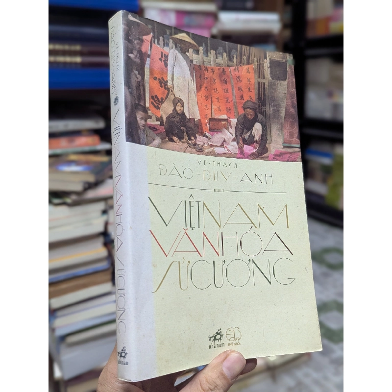 Việt Nam văn hoá sử cương - Đào Duy Anh 338100