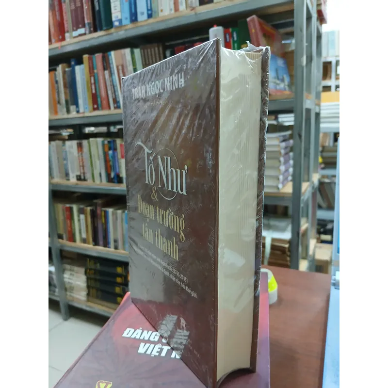 TỐ NHƯ & ĐOẠN TRƯỜNG TÂN THANH - TRẦN NGỌC NINH 731158
