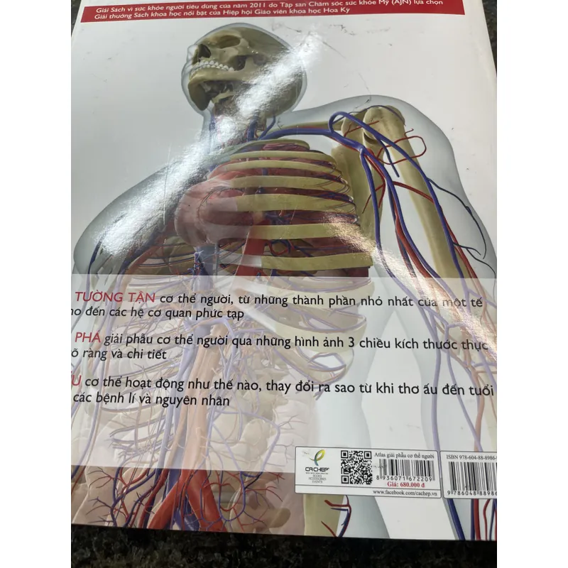 Atlas giải phẫu cơ thể người Bs Alice Roberts 680876