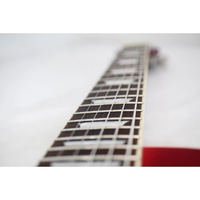 HÀNG HIỆU AUTHENTIC EPIPHONE LES PAUL STANDARD/LH 878349