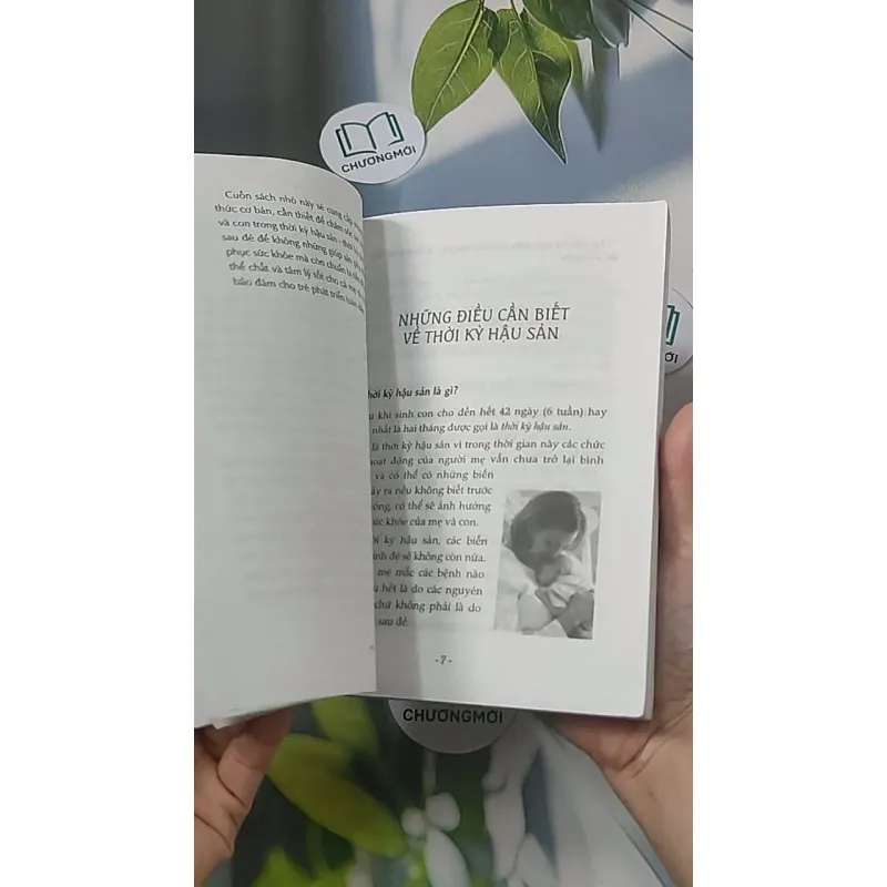 Chăm sóc sức khỏe mẹ và con thời kỳ hậu sản - Giáo sư Lê Đềm 688501
