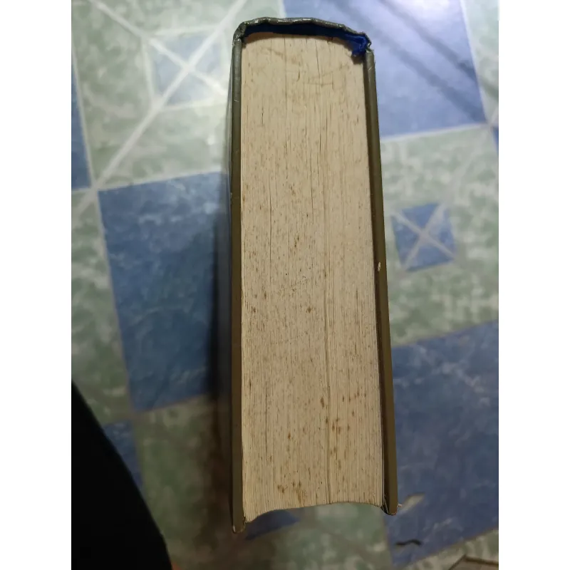 Việt Nam Phật giáo sử luận - Nguyễn Lang 974915