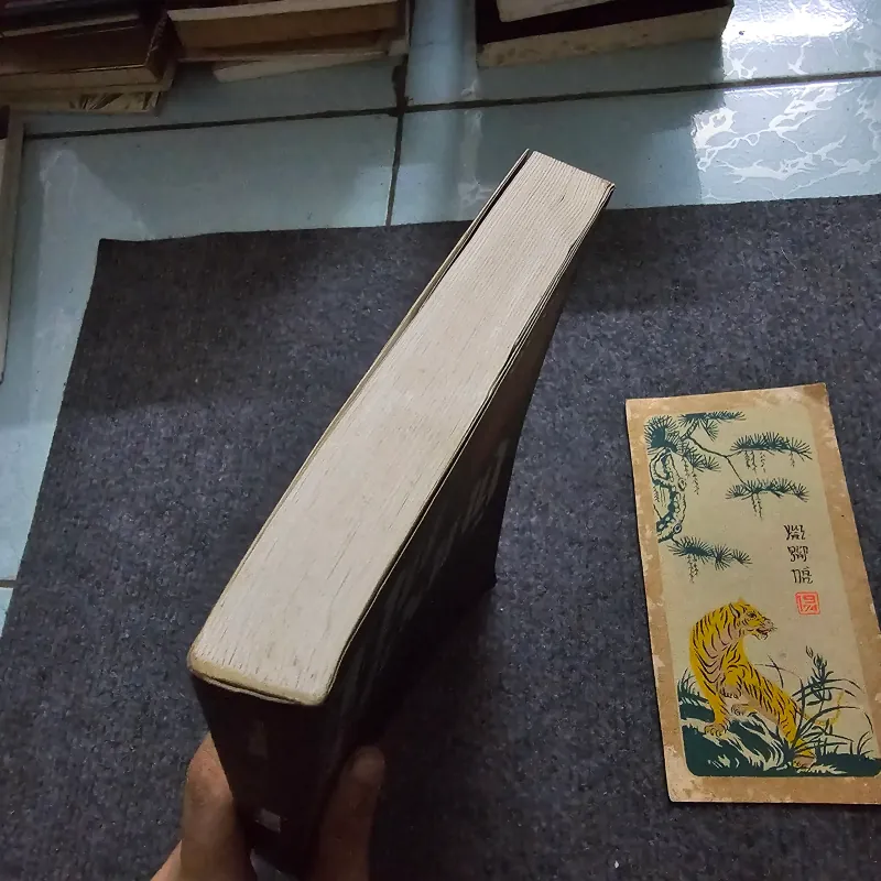 Nữ hoàng - Shan sa - sơn táp 747513