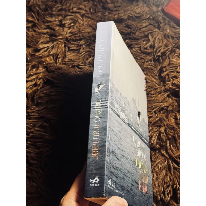 Những màu khác 1022212