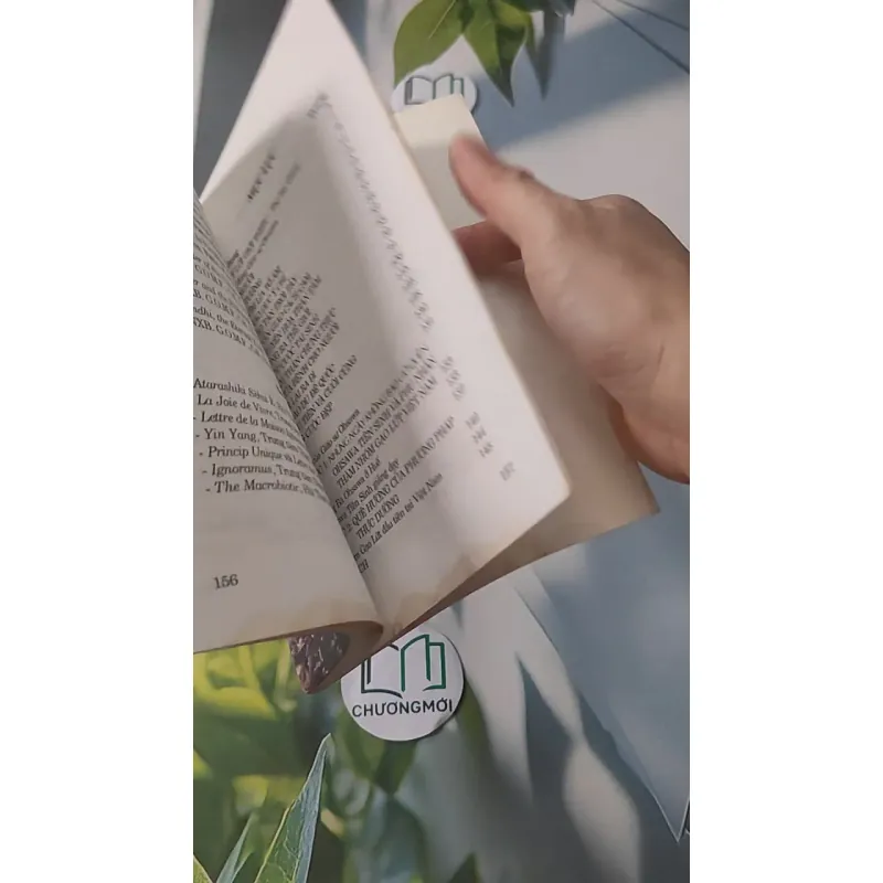 Chơi Giữa Vô Thường - George Ohsawa 928512