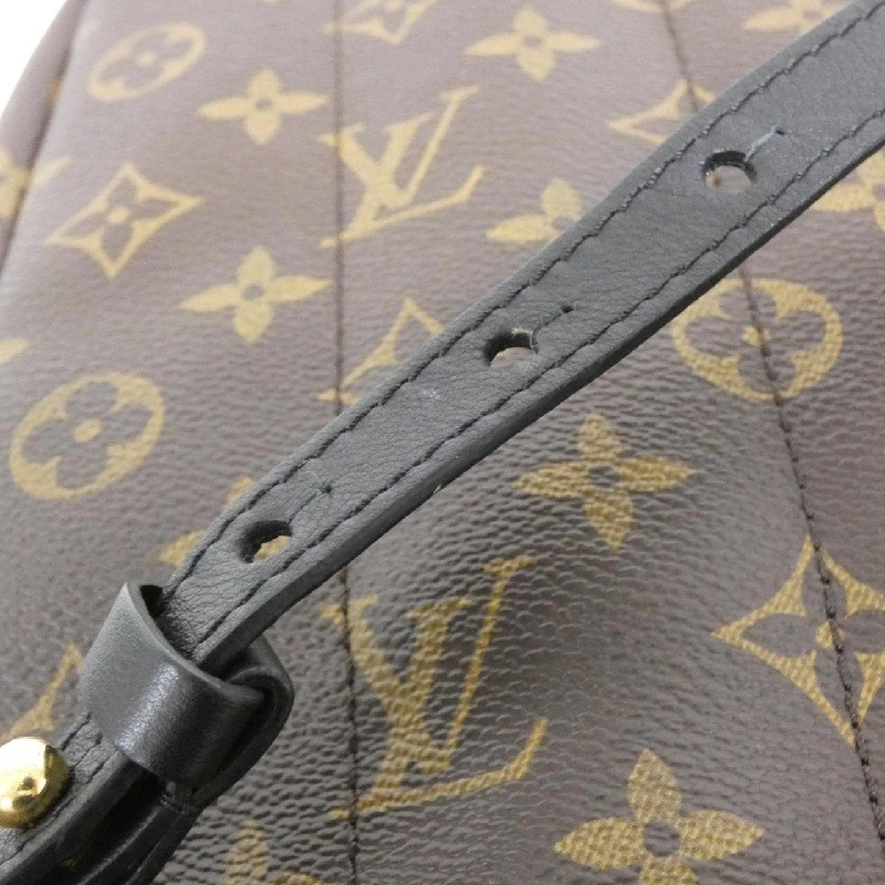 Ba lô Louis Vuitton Monogram Palm Springs PM M44871 608327