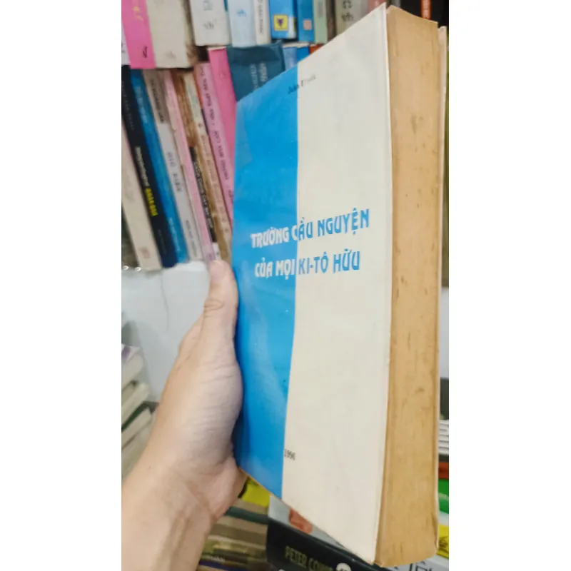 Trường Cầu Nguyện Của Mọi Kitô Hữu 🌻 559204
