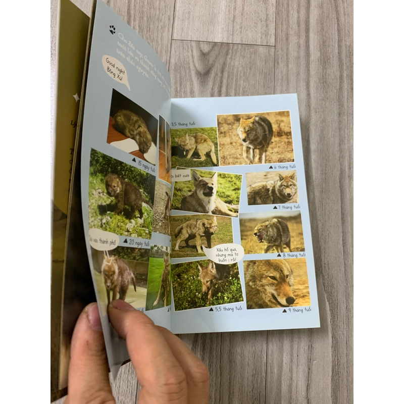 Trở về với sói - lý vi y. 999 452679