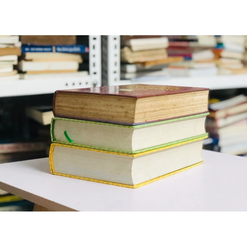📚 BỘ 3 TẬP PHẬT HỌC PHỔ THÔNG – TỦ SÁCH GIÁ TRỊ CHO NGƯỜI MUỐN TÌM HIỂU PHẬT PHÁP 🌿  488315