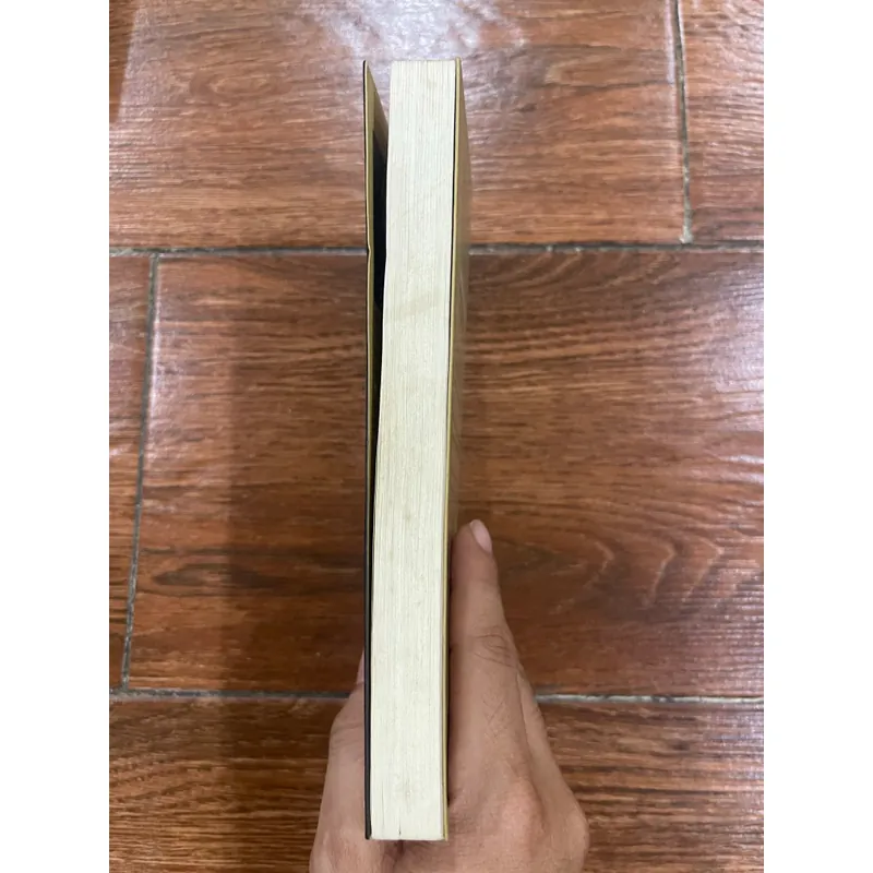 Thiếu Nữ Đeo Hoa Tai Ngọc Trai - Tracy Chevalier (9) 558705