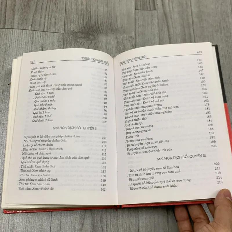 Mai hoa dịch số. 2a3 689771