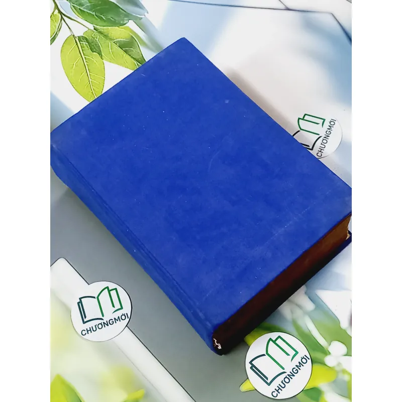 [MIỄN PHÍ BỌC SÁCH] Từ Điển Anh - Việt - Viện Ngôn Ngữ 750747