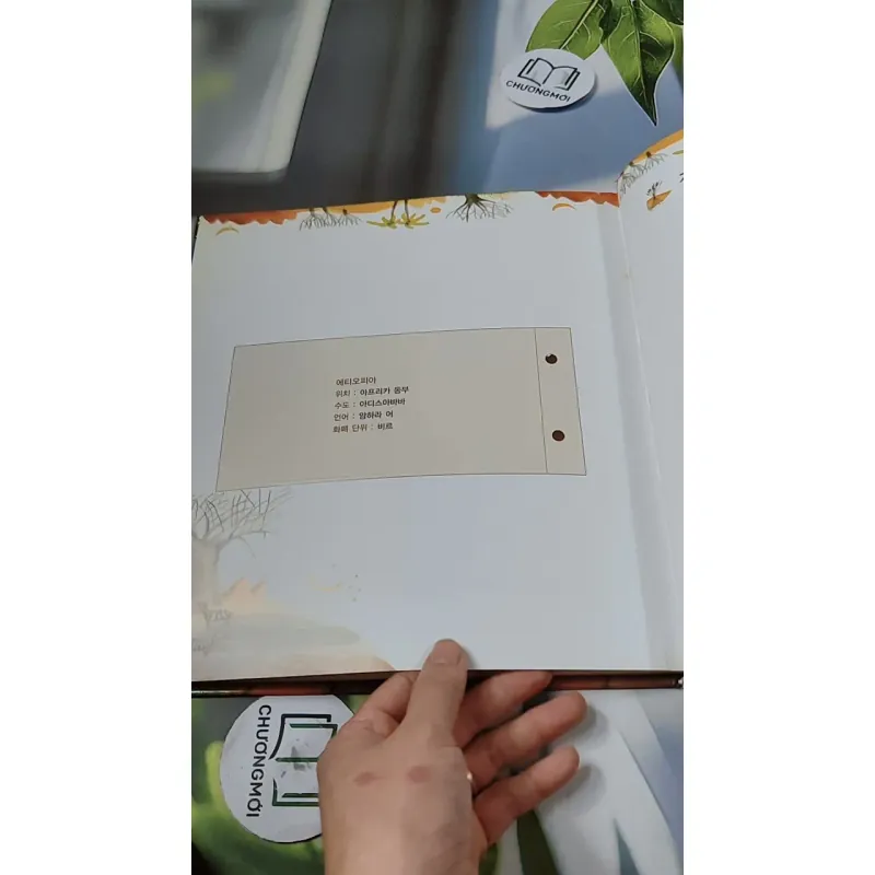 [Tặng nẹp góc] Truyện thiếu nhi Hàn Quốc: Moyamo Anu 60 -  모야모 아누와: 하늘에서 뚝 떨어진 영웅 732067