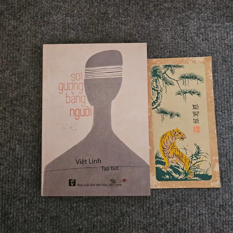 Soi gương bằng người - Việt Linh 736888