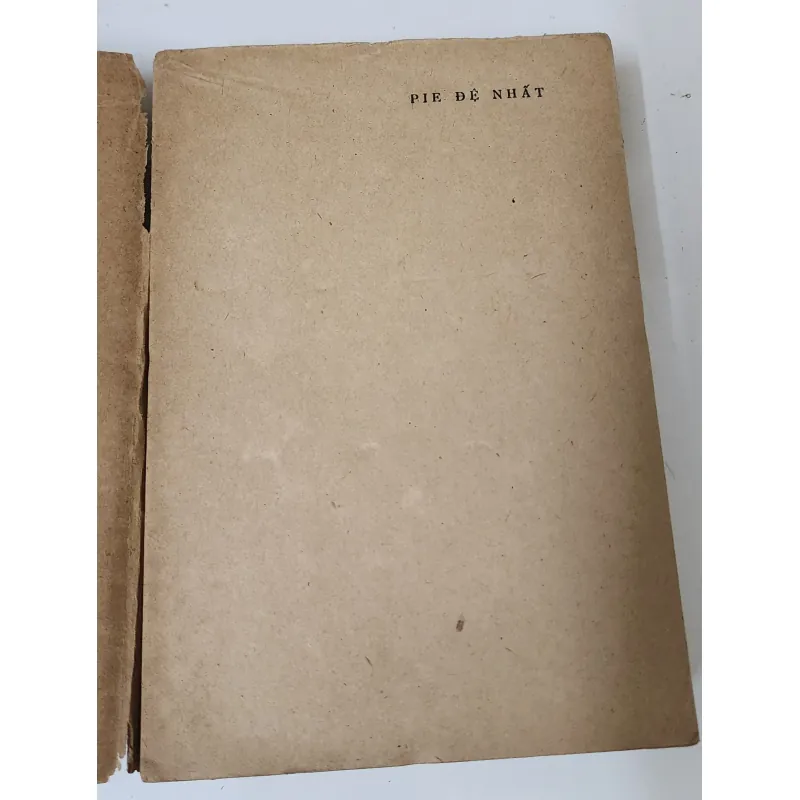 PIE ĐỆ NHẤT (Tác phẩm VH kinh điển Nga) - trọn bộ 2 tập 788799