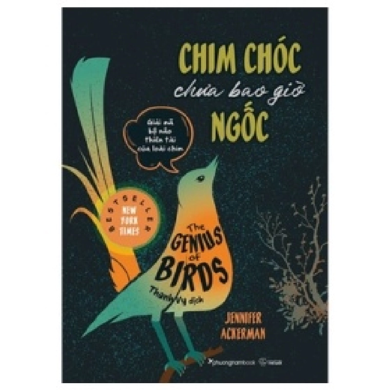 Chim Chóc Chưa Bao Giờ Ngốc - Jennifer Ackerman 402897